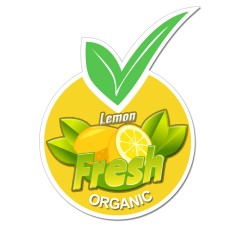 6.55x4.97 Fruit Shaped Magnets - 20 Mil