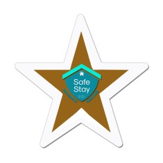 5x5 Star Shaped Magnets - 20 Mil