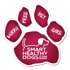5.75 Car Sign Small Paw Shape Magnets Full Color 30 Mil