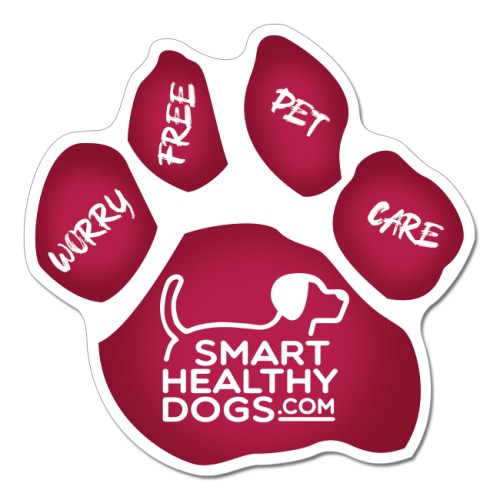 5.75 Car Sign Small Paw Shape Magnets Full Color 30 Mil