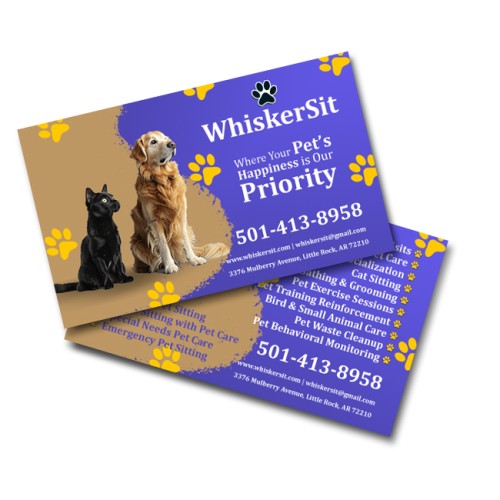 5x3 Double Sided Rectangle Magnets