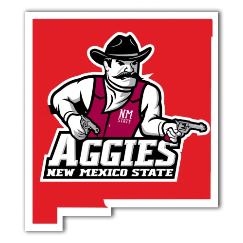 3.5x3 Custom New Mexico Shaped Magnets 20 Mil