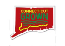 https://media.magnetguys.com/image/cache/data/Stock-Shape-Magnets/3-25x2-54-Custom-Connecticut-Shaped-Magnets-20-Mil-218x155.jpg