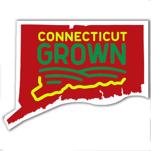 3.25x2.53 Custom Connecticut Shaped Magnets 20 Mil