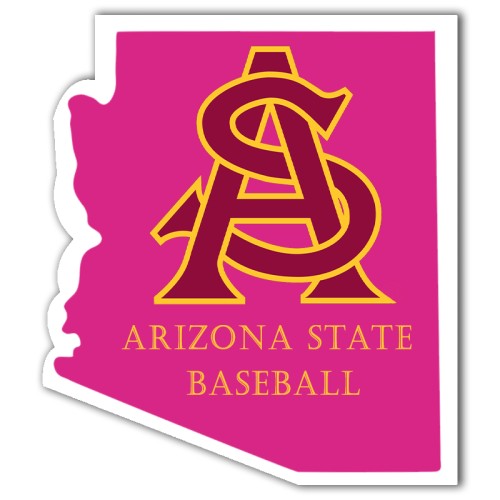 3x2.58 Custom Arizona Shaped Magnets 20 Mil