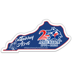 4.83x2.29 Inch Kentucky Shape Magnets - 20 Mil